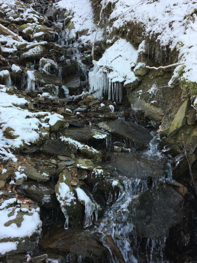 Ferienhaus Piana Monschau Zewnętrze zdjęcie
